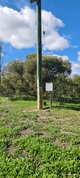 Photo - "Neymerup" Neymerup Road, Kojonup WA 6395 - Image 15