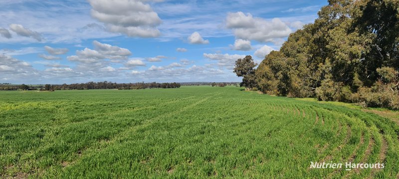 Photo - "Neymerup" Neymerup Road, Kojonup WA 6395 - Image 16