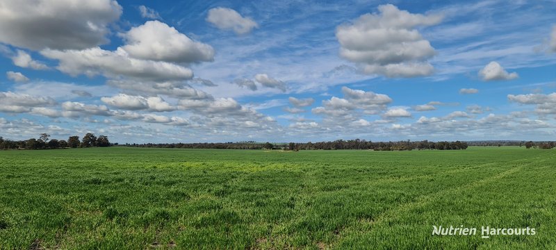 Photo - "Neymerup" Neymerup Road, Kojonup WA 6395 - Image 17