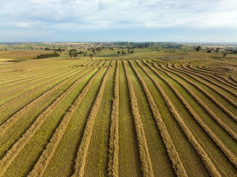 'Nimby West' 282 Nimby Road, Harden NSW 2587