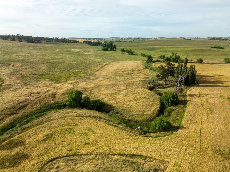 Photo - 'Nimby West' 282 Nimby Road, Harden NSW 2587 - Image 2