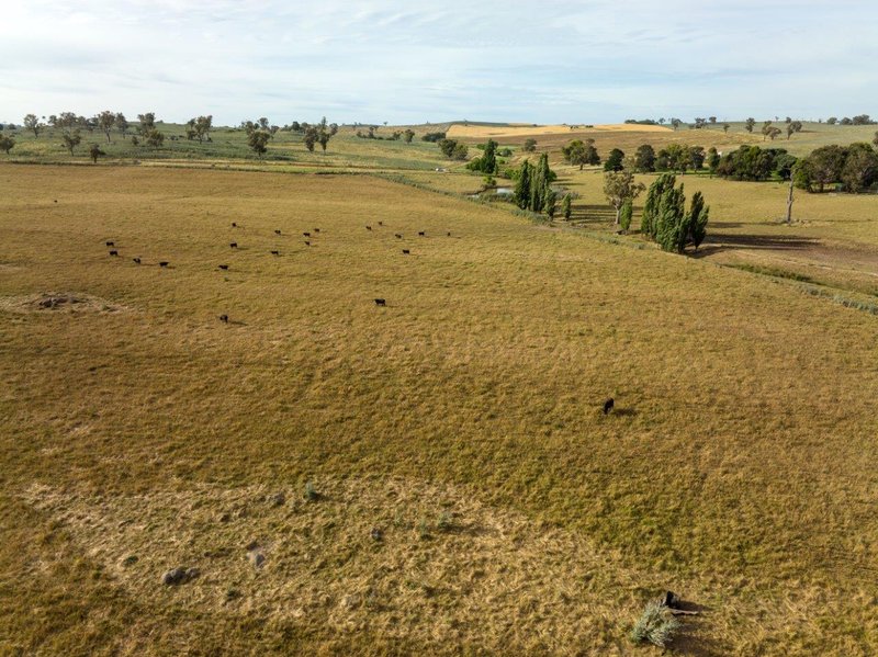 Photo - 'Nimby West' 282 Nimby Road, Harden NSW 2587 - Image 5