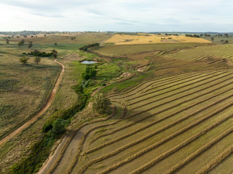 Photo - 'Nimby West' 282 Nimby Road, Harden NSW 2587 - Image 7