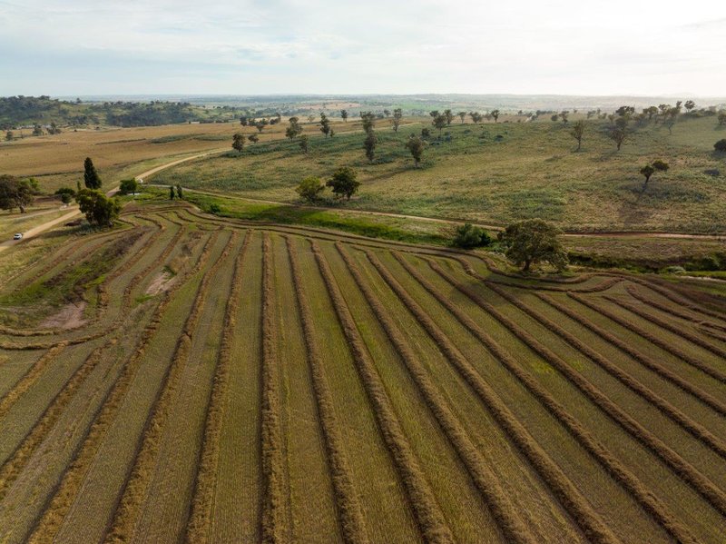 Photo - 'Nimby West' 282 Nimby Road, Harden NSW 2587 - Image 8