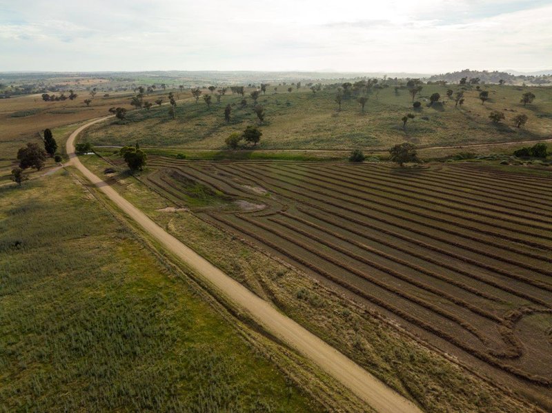 Photo - 'Nimby West' 282 Nimby Road, Harden NSW 2587 - Image 10