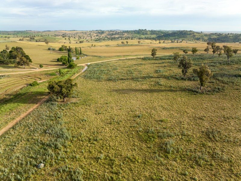 Photo - 'Nimby West' 282 Nimby Road, Harden NSW 2587 - Image 11