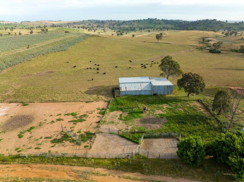 Photo - 'Nimby West' 282 Nimby Road, Harden NSW 2587 - Image 14