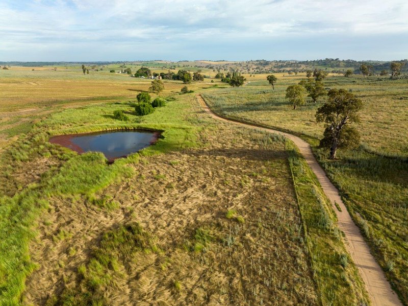 Photo - 'Nimby West' 282 Nimby Road, Harden NSW 2587 - Image 16