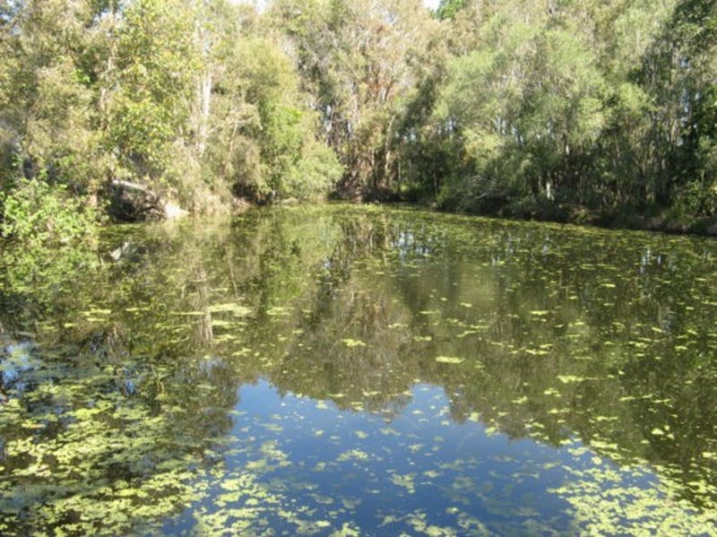 Photo - Ningi QLD 4511 - Image 9