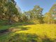 Photo - No. 745 Pinchin Road, Goolmangar NSW 2480 - Image 14