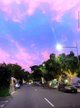 Photo - Noosa Heads QLD 4567 - Image 5