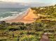 Photo - Noosa Heads QLD 4567 - Image 6