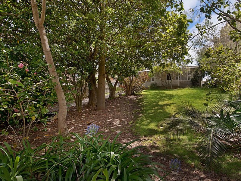 Photo - North Avoca NSW 2260 - Image 9