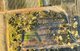 Photo - North Eton QLD 4741 - Image 9