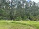 Photo - North Ipswich QLD 4305 - Image 3