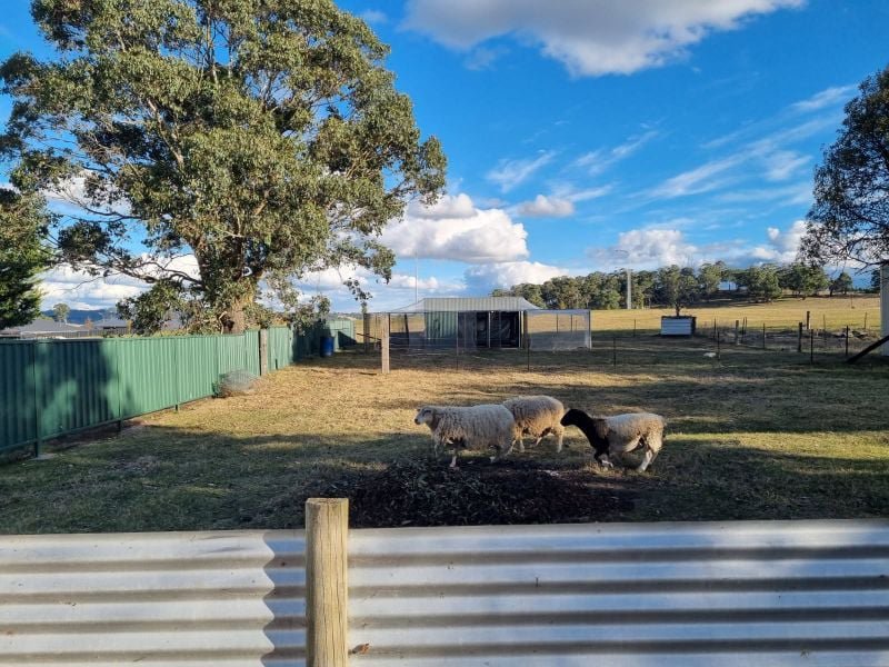 Photo - Oberon NSW 2787 - Image 18