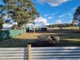 Photo - Oberon NSW 2787 - Image 18