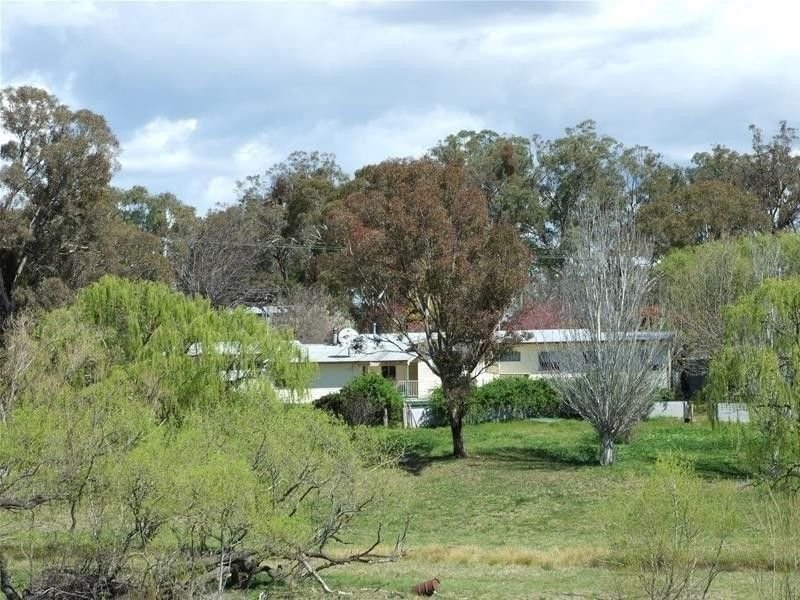 Photo - O'Connell NSW 2795 - Image 9