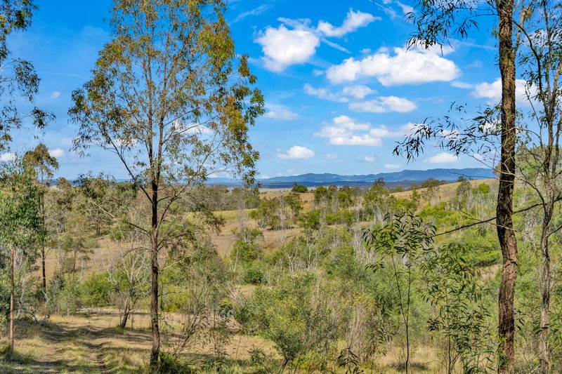 Photo - Off Moore'S Lane, Elderslie NSW 2335 - Image 10