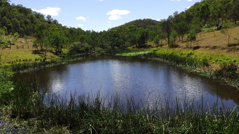 Photo - Off Putty Road, Howes Valley NSW 2330 - Image 2