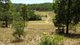 Photo - Off Putty Road, Howes Valley NSW 2330 - Image 5