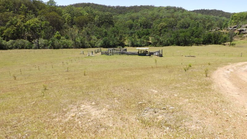 Photo - Off Putty Road, Howes Valley NSW 2330 - Image 7