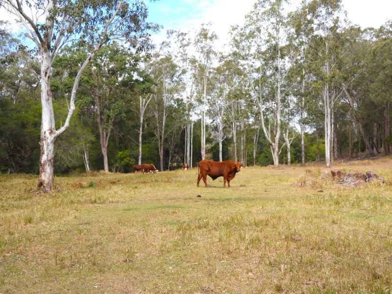 Photo - Old Bonalbo NSW 2469 - Image 12