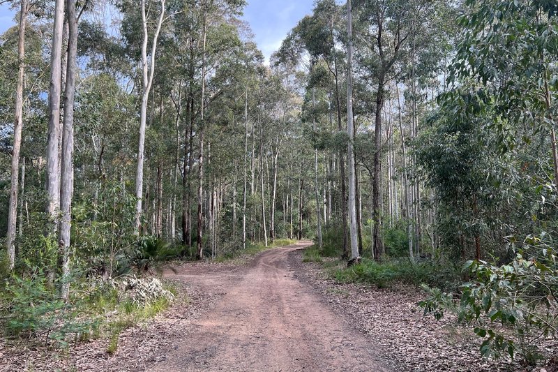 Photo - Oldham Close, Tomerong NSW 2540 - Image 4