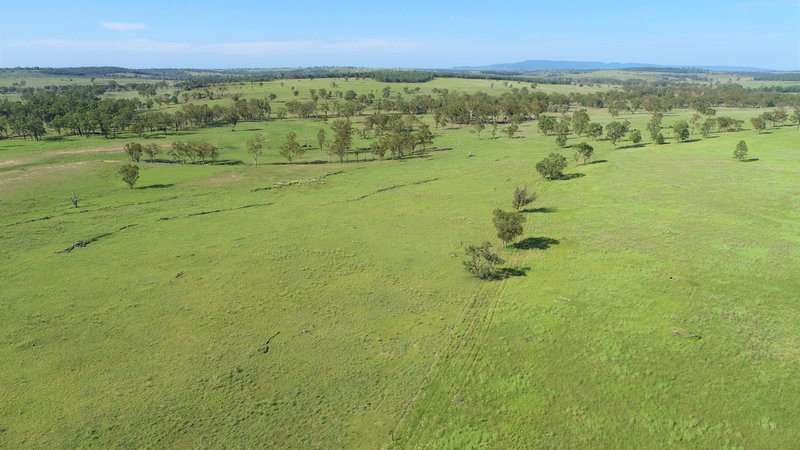 Photo - 'Omeo' 1183 Westgrove Road, Injune QLD 4454 - Image 7