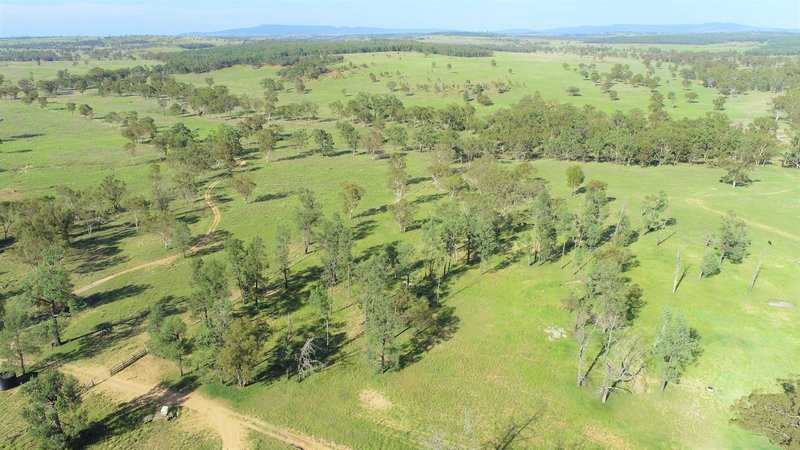 Photo - 'Omeo' 1183 Westgrove Road, Injune QLD 4454 - Image 9