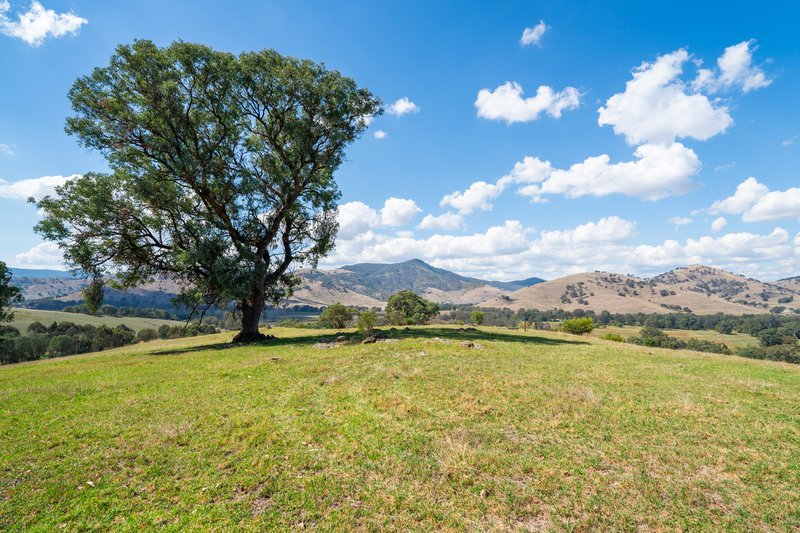 Photo - . Omeo Highway, Tallangatta VIC 3700 - Image