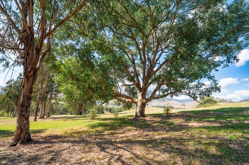 Photo - . Omeo Highway, Tallangatta VIC 3700 - Image 8