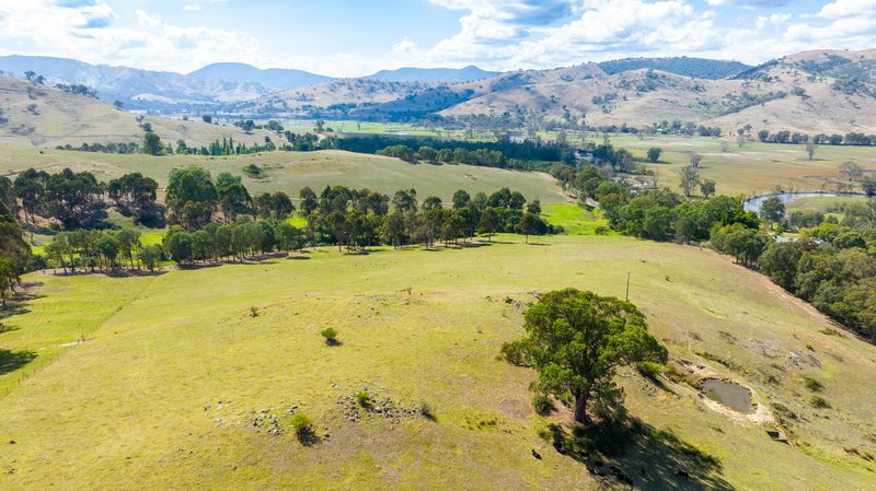 Photo - . Omeo Highway, Tallangatta VIC 3700 - Image 9