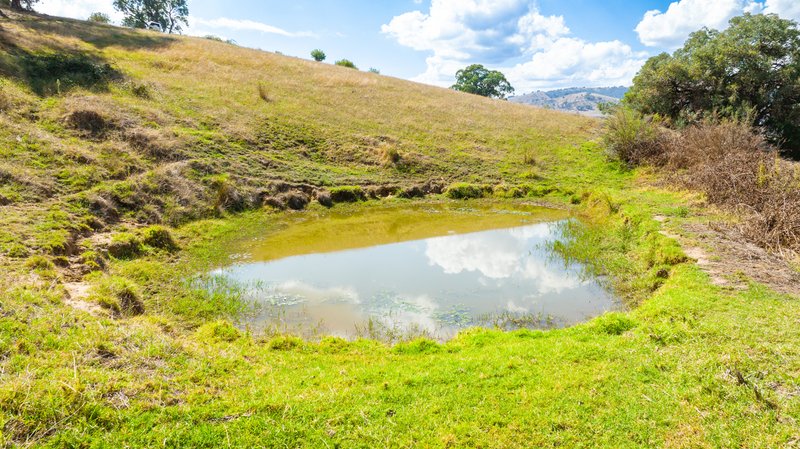 Photo - . Omeo Highway, Tallangatta VIC 3700 - Image 15