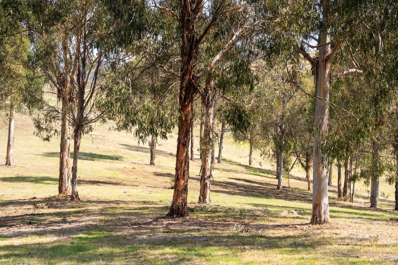 Photo - . Omeo Highway, Tallangatta VIC 3700 - Image 16