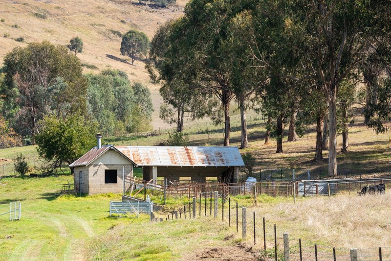 Photo - . Omeo Highway, Tallangatta VIC 3700 - Image 18