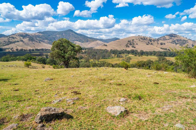 Photo - . Omeo Highway, Tallangatta VIC 3700 - Image 23