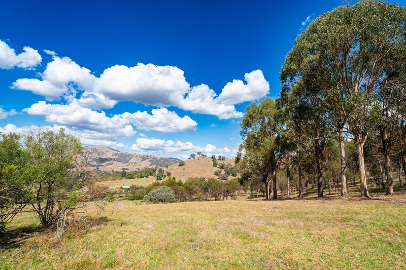 Photo - . Omeo Highway, Tallangatta VIC 3700 - Image 26