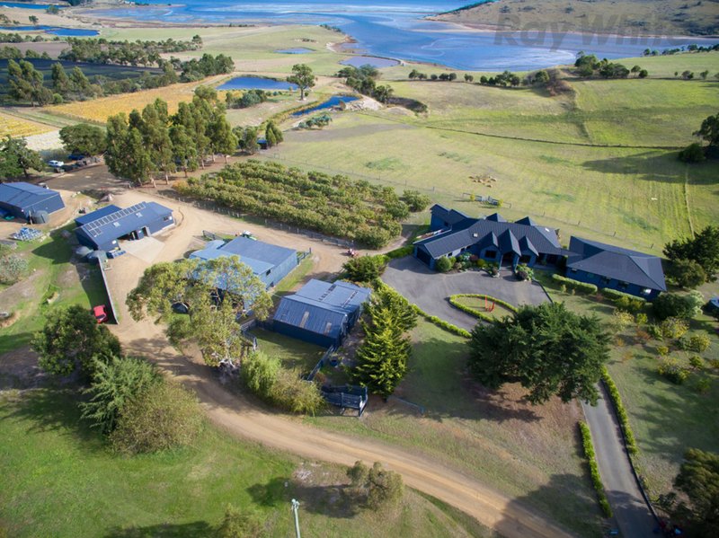 Photo - Orani Vineyard 394 Arthur Highway, Sorell TAS 7172 - Image 2