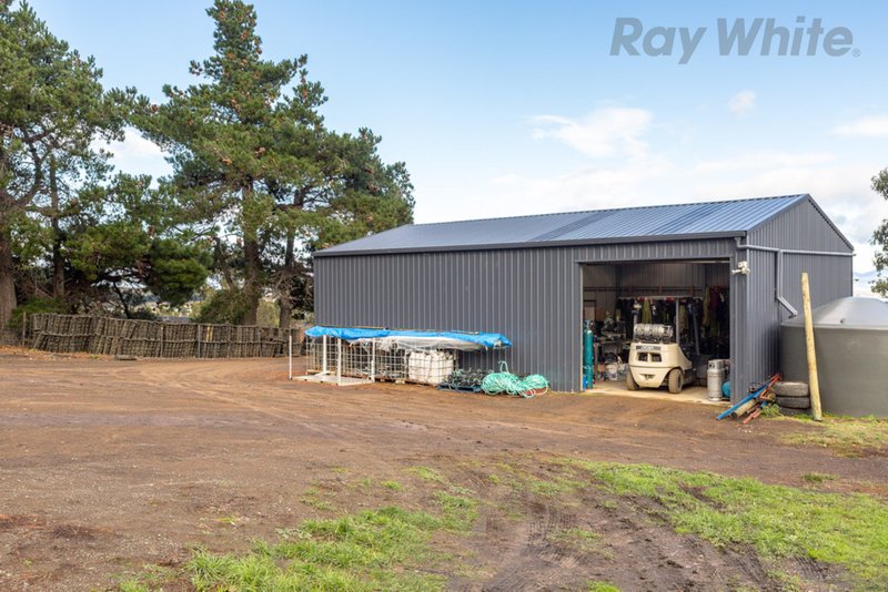 Photo - Orani Vineyard 394 Arthur Highway, Sorell TAS 7172 - Image 24