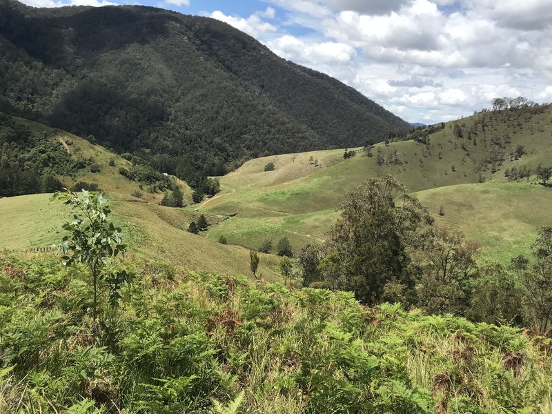 Photo - * Owen'S Trail, Cobark NSW 2422 - Image 17