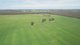 Photo - . Ozenkadnook Maryvale Track, Ozenkadnook VIC 3413 - Image 14