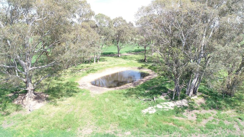 Photo - . Ozenkadnook Maryvale Track, Ozenkadnook VIC 3413 - Image 19