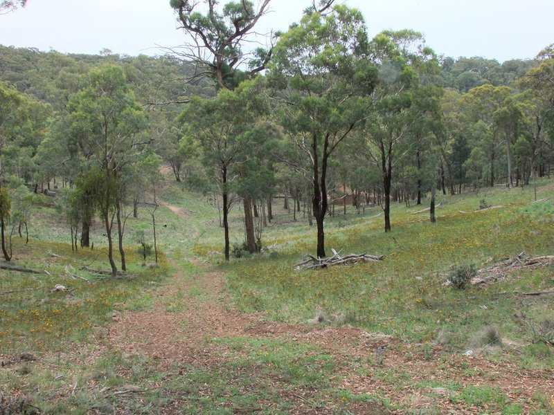 Photo - Palmers Oaky NSW 2795 - Image 16