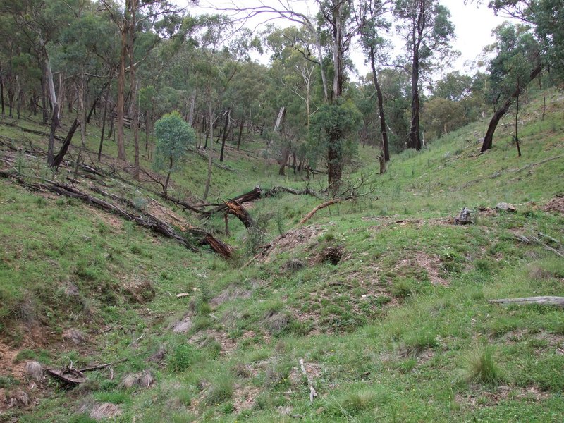 Photo - Palmers Oaky NSW 2795 - Image 18