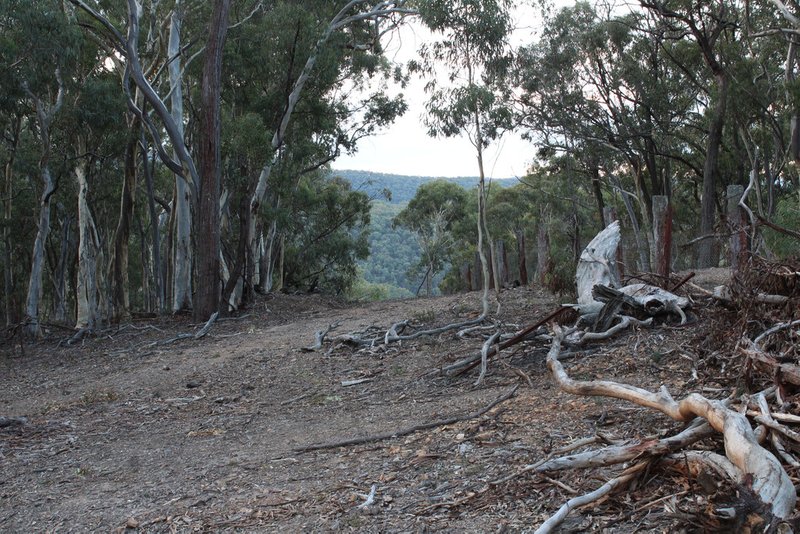 Photo - Palmers Oaky NSW 2795 - Image 22