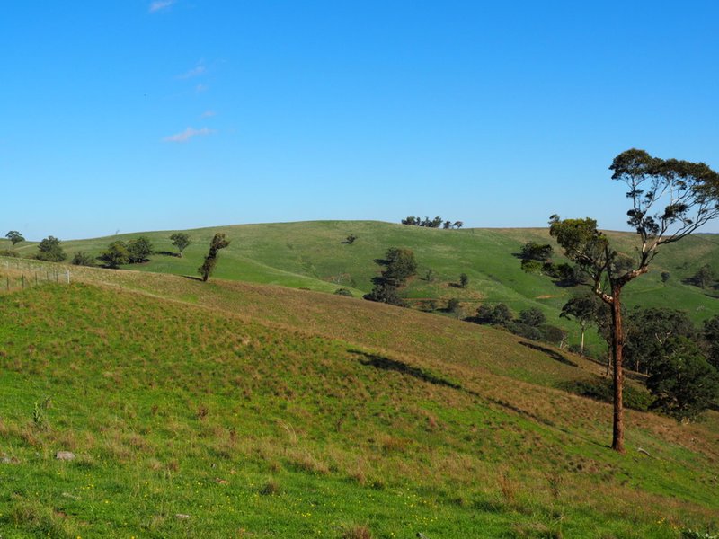 Photo - Palmers Oaky NSW 2795 - Image 6