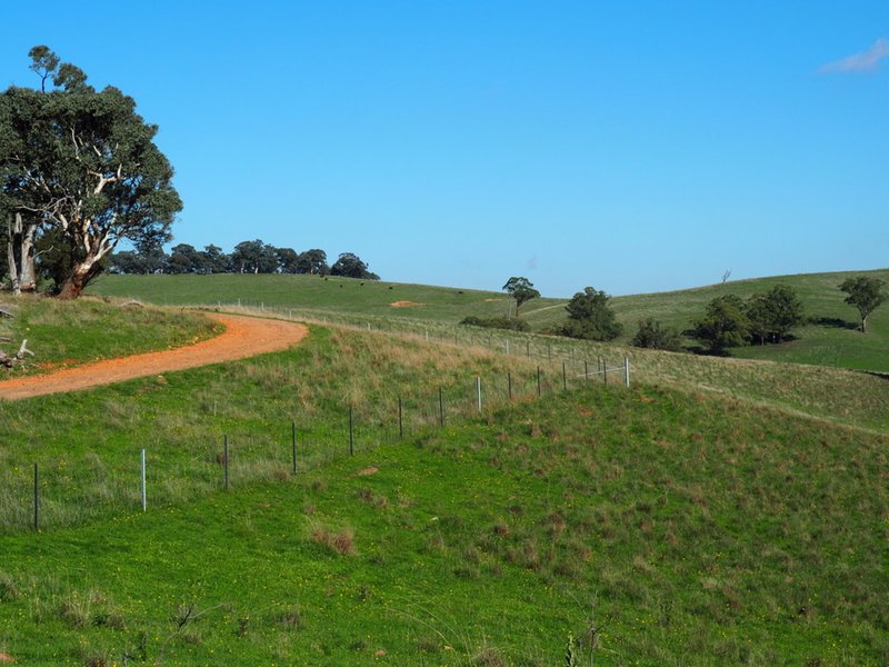 Photo - Palmers Oaky NSW 2795 - Image 7