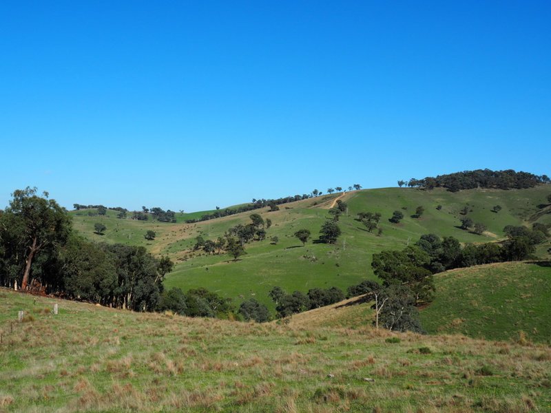 Photo - Palmers Oaky NSW 2795 - Image 10