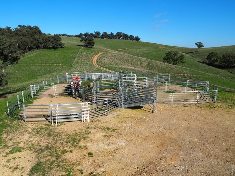 Photo - Palmers Oaky NSW 2795 - Image 11